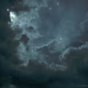 Meet your Posher, Ella